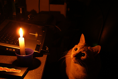 cat_and_candle.jpg