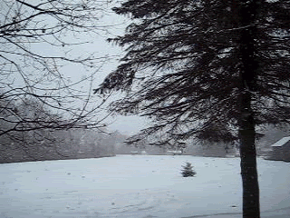 Snowing.gif