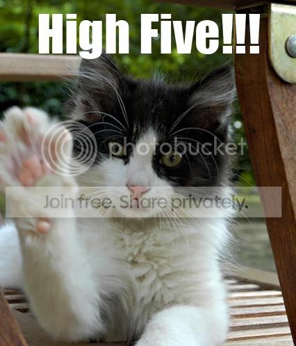 Cat-CatWithPawRaisedHighFive.jpg