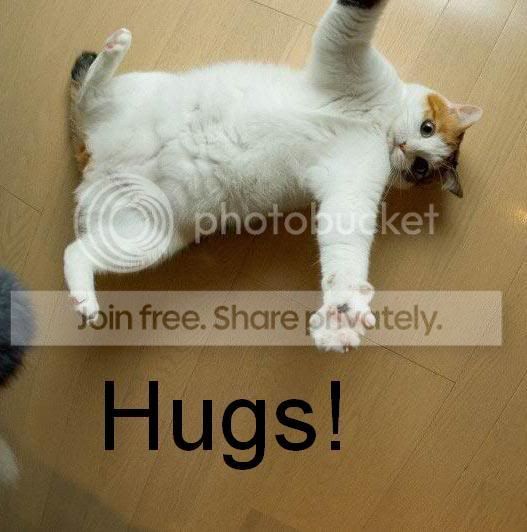 cat_wants_hugs.jpg