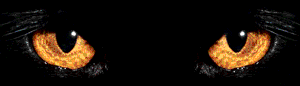graphics-eyes-522972.gif