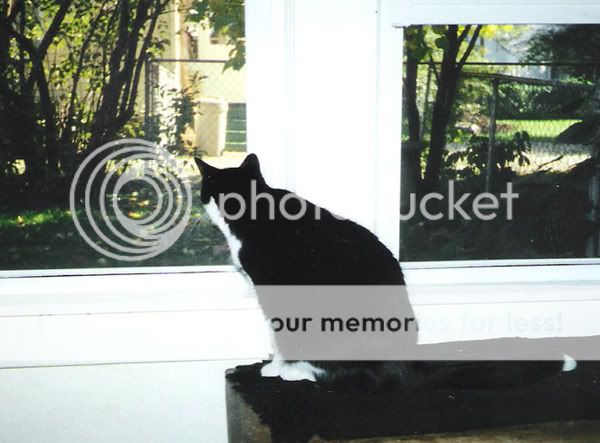 07.jpg