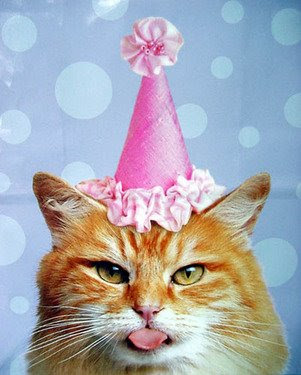 BirthdayCatPink.jpg