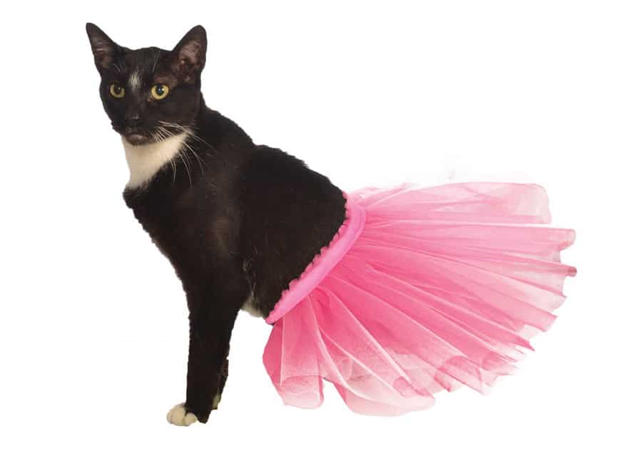 pink-tutu-1.jpg