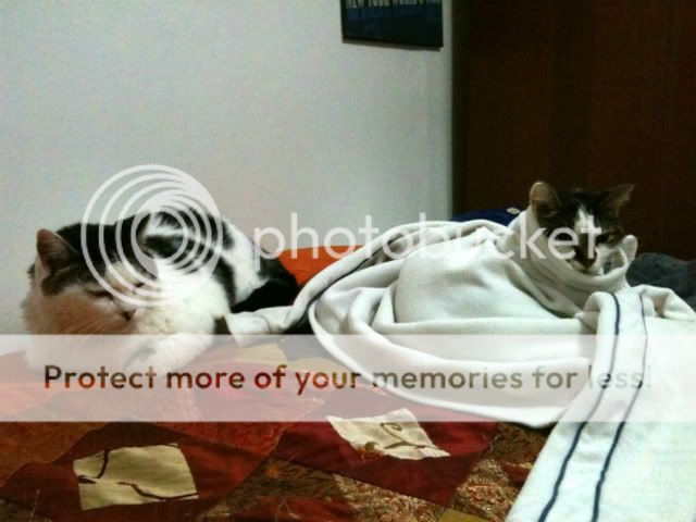 PhonePix054-1.jpg