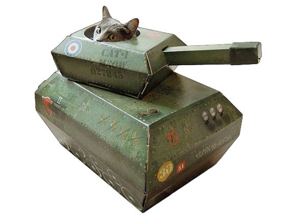 CatinTank.jpg