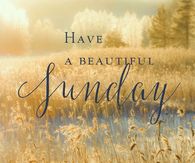 219754-Have-A-Beautiful-Sunday.jpg