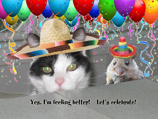 Pedroballoons.jpg