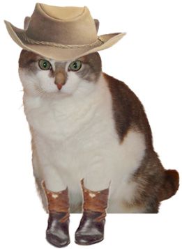 CowboyPutty.jpg