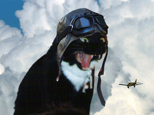Donovan%20flying.jpg