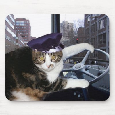 bus_driving_cat_mousepad-p144800216271001303z8xsj_400.jpg