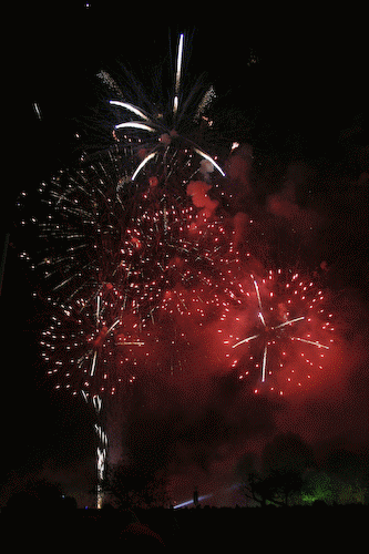 firework_gif__click_me__by_dusty_hacker-d32ety0.gif