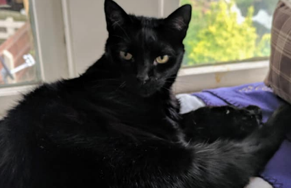 upload_2018-9-16_16-5-7-png.39009