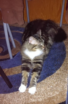 s_7yNpz33JO9vtWCnN37icQHQkiJ0S7bWk5pYXU4IuA=w236-h359-no