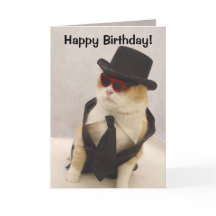 happy_birthday_cool_cat_card-p137167293479229218enx3g_216.jpg