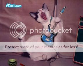 pyzamguitarkitty.jpg