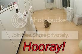 hooray.jpg