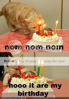 funny-pictures-cat-wants-his-birthd.jpg