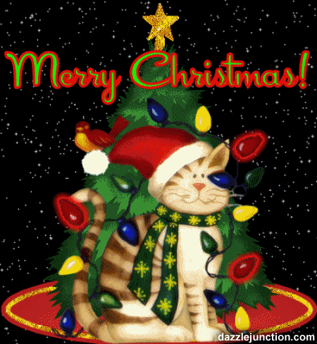 merry-christmas-cat.gif