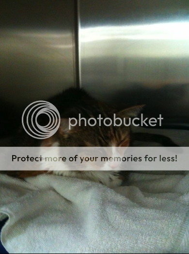 Picture12.png