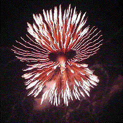 fireworks2k.gif