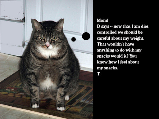 tuggersnack.jpg