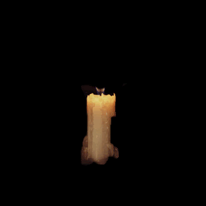 candle3.gif