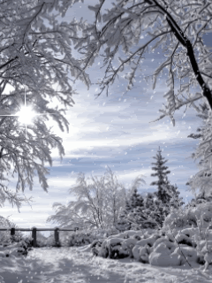 275bfbe84d9a09be7b99c6f0fcea18f1.gif