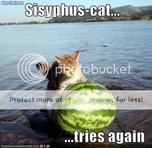 funny-pictures-sisyphus-cat-waterme.jpg