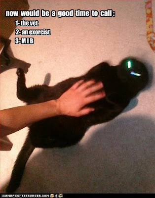 alien+cat.jpg