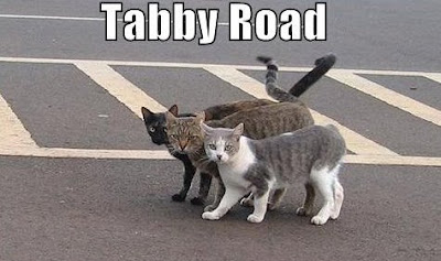 TabbyRoad.jpg