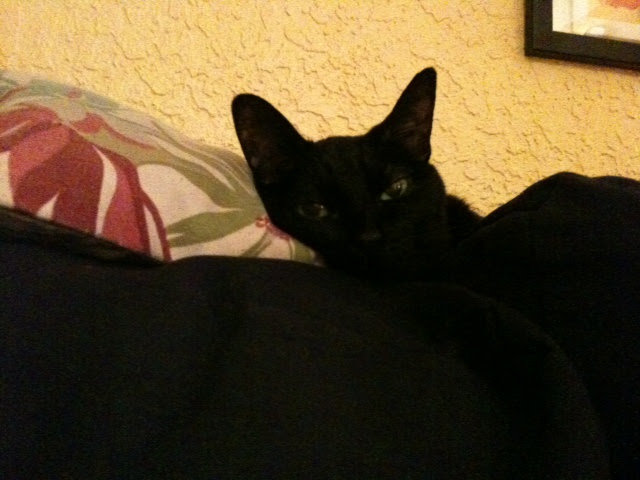 uJUc6iSJit3JDl0SXnMCvwr7AHQX_WxlgdpR9xdoSoo=w640-h480-no