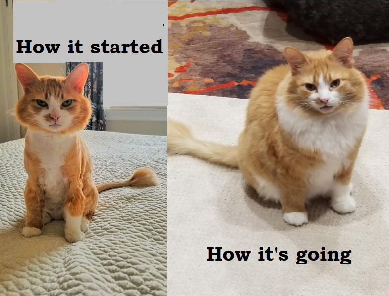 upload_2021-5-6_19-23-59-png.60819