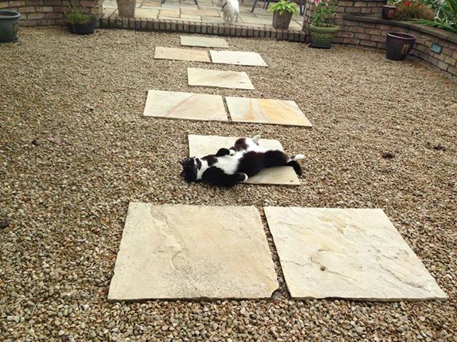tom+in+the+sun.jpg