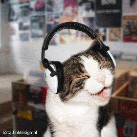 gato-audifonos.gif