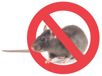 no-rodents.jpg