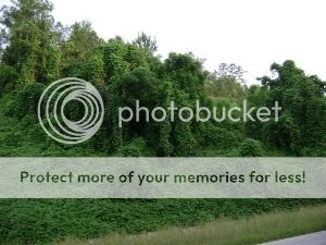 b149544c-9423-49f3-8bd9-1f6fecdb9a08.jpg