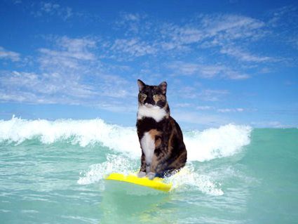 gabby%20surfing.jpg