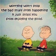 496cf76ab1572d4557d1eff60c8e1a12--stop-worrying-peanuts-gang.jpg