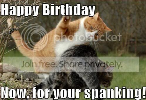 lolcatbirthdayspanking.jpg