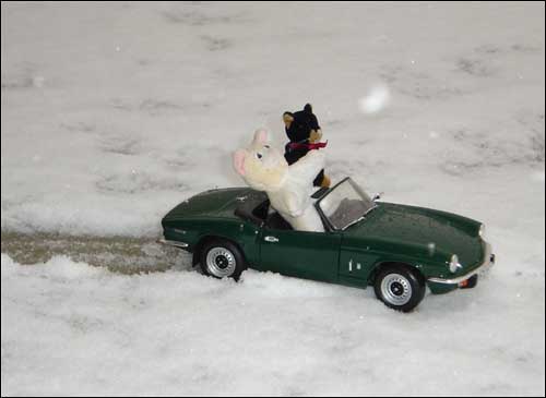 snow-cats-5.jpg