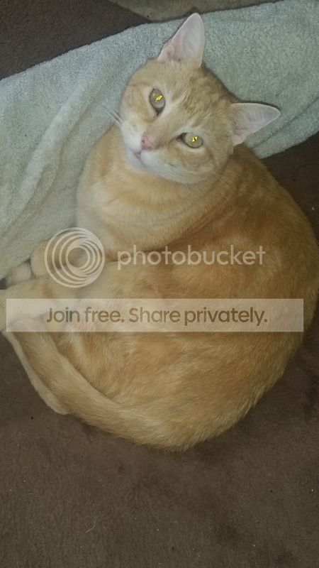 20161023_134702_zpskkkt7bpw.jpg