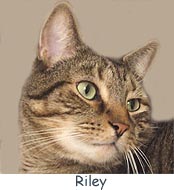 Riley-AniPic4.jpg