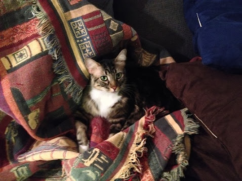 EXeFTpYGf6l9tWbul0OI8AJqdpGvKhsTrITji5Qpy6o=w478-h359-no