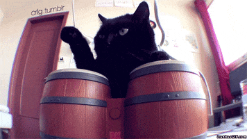 200_s.gif