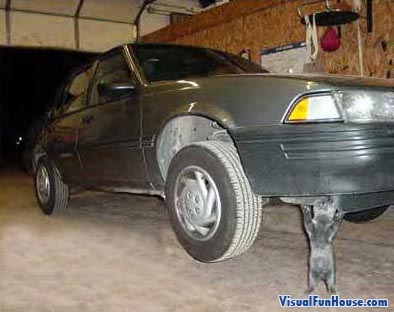 cat-lifting-car-optical-illusion.jpg
