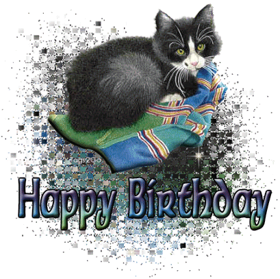 Bwcat.gif