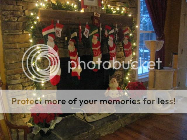 IMG_3882.jpg