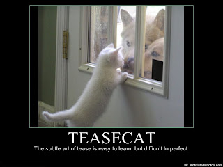 TeaseCat.jpg