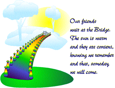 rainbowbridge.gif